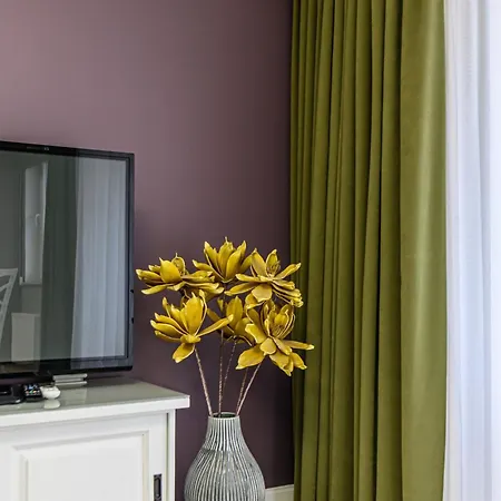 Ara Apart #2 Apartment Brasov